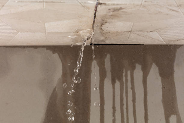 Professional Water Damage Repair technician working in Grand Junction, TN